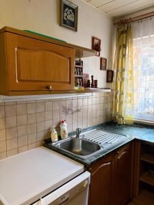 a kitchen with a sink and a counter top at Penzion Borováček in Borová Lada