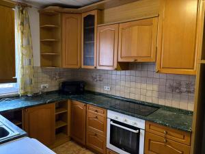 a kitchen with wooden cabinets and green counter tops at Penzion Borováček in Borová Lada +2 photos