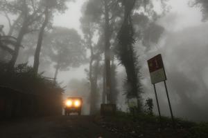 Fotografija v galeriji nastanitve SpiceTree Munnar v mestu Chinnakanal
