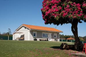 a house with a tree with pink flowers at A Casiña dos Veiras - 3Km antes de Bruma in Santa Eulalia