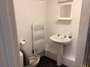 a small bathroom with a toilet and a sink at Shipwright Inn in Pembroke Dock +14 photos