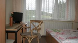 Zimmer mit einem Schreibtisch, einem Computer und einem Bett in der Unterkunft Hotel Carolaruh in Bad Elster