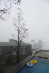 Bazen v nastanitvi oz. blizu nastanitve SpiceTree Munnar