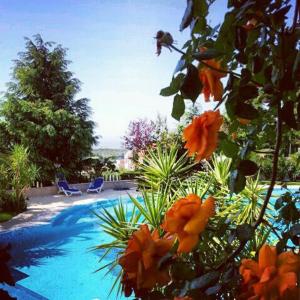 Basen w obiekcie Grand Hotel degli Angeli lub w pobliżu