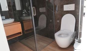 a bathroom with a toilet and a shower and a sink at Hotel Miami II in Golem +26 photos