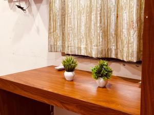 two plants on a wooden table with a window at Hotel shri Sudama in Ambikāpur