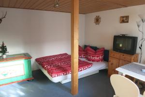 Schlafzimmer mit einem Bett mit roten Kissen und einem TV in der Unterkunft Wanderunterkunft in Frauenwald in Frauenwald