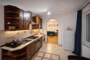 a kitchen with a sink and a refrigerator at Štúr Apartment Michalská in Bratislava