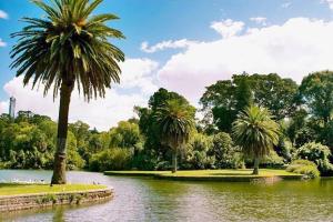 two palm trees in a park with a body of water at Williamstown Village 2 in Williamstown