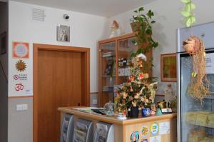 a room with a counter with a christmas tree on it at Chalupa u pramene in Králíky