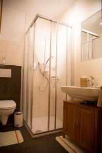 ein Bad mit einer Dusche, einem WC und einem Waschbecken in der Unterkunft Appartement Fink in Jerzens