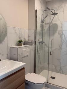 a bathroom with a shower and a toilet and a sink at Léonie-Les appart's de Léon in Landerneau