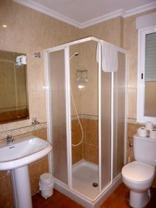 a bathroom with a shower and a toilet and a sink at Apartamentos rurales Casas de Haches in Las Casas de Haches