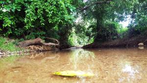 Paesaggio naturale nelle vicinanze del bed & breakfast