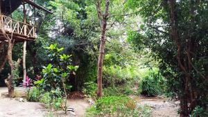 Giardino di Sigiriya River Side Villa