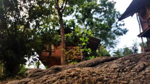 Edificio in cui si trova il bed & breakfast