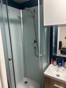 a bathroom with a shower and a sink at Schill Weiße Ruhe in Schweich