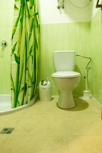 烏日霍羅德的住宿－Ungweiser，一间带卫生间和淋浴帘的浴室