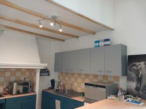 a kitchen with blue cabinets and an elephant on the wall at Massilia in Marseille