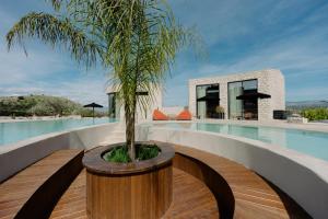 a palm tree in a planter next to a pool at Kyklio Pavilions in Nafplio