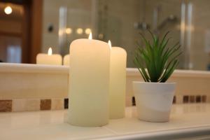 two candles on a counter with a potted plant at Alpenperle in Berwang +10 photos