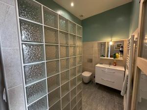 a bathroom with a shower with a toilet and a sink at La Verrerie de Guerlédan in Caurel