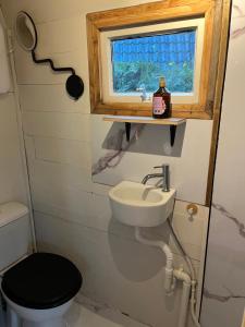 a tiny bathroom with a sink and a window at PipowagenSiëester in Ommen