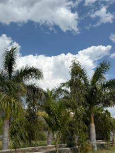 a group of palm trees under a cloudy sky at The Celestine Villa in Thūr