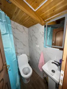 a bathroom with a white toilet and a sink at Guesthouse Katerina in Përmet
