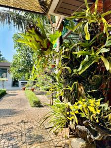 Gallery image of Homestay Buôn Mê 1 in Buôn Ðũng