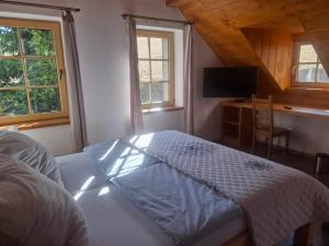 a bedroom with a bed and a tv and windows at Chata pod Červenou studňou in Banská Štiavnica
