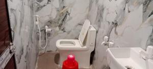 a bathroom with a toilet and a sink at Mukherjee Lodge in Rāmpur Hāt