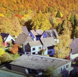 Gallery image of Eifelhaus4you in Gemünd