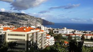 a view of a city with buildings and the ocean at Vila Régia in Funchal