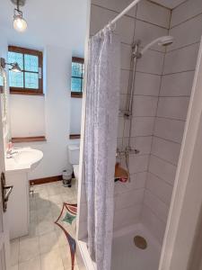 a bathroom with a shower and a sink at La Terrasse sur La Roque-Gageac in Vézac
