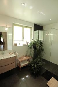 uma casa de banho com um chuveiro, um lavatório e um WC. em Côté vignes em Marlenheim