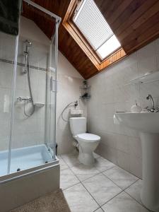 a bathroom with a toilet and a shower and a sink at Kovács Vendégház in Harkány +10 photos