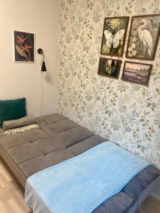 a bed in a room with pictures on the wall at City centre one room apartment in Tartu