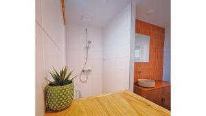 a bathroom with a shower and a table with a plant at Bungalow Doris with Hot Tub | 4 persons in Gasselte +26 photos