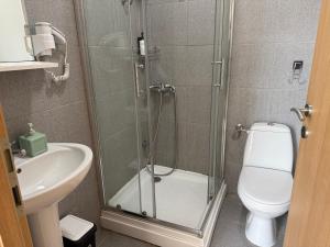 a bathroom with a shower and a toilet and a sink at Old Town Apart in Budva