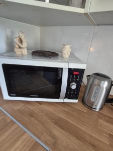 a microwave oven sitting on top of a counter at Channel-Appartement cosy avec piscine, jardin & nature aux portes de Paris in Saint-Maurice
