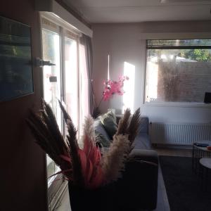 Gallery image of chalet in Drenthe met rust en natuur in Eext