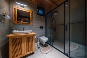 a bathroom with a sink and a shower and a toilet at Green date bungalow in Sapanca +15 photos