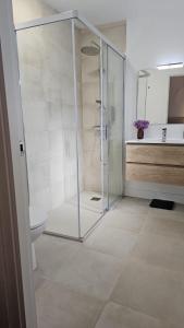 a bathroom with a shower and a toilet at La Casita de Rosa Sierra de Francia - Cozy Rural House with Fireplace in Aldeanueva de la Sierra +39 photos