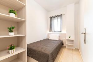 a small room with a bed and shelves at Azure Edge - Seafront View - Beach Stay in Tigaki