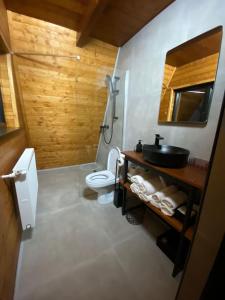 a bathroom with a toilet and a sink at Cabana Bradova Jacuzzi & Heated Pool A-Frame in Bîrsana