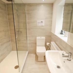a bathroom with a shower and a toilet and a sink at Butterswood Lakes in Goxhill +23 photos