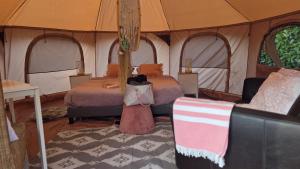 a tent with two beds and a couch in a room at Witte Merel Glamping in Beringen