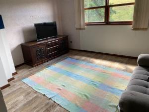 a living room with a television and a colorful rug at Pousada Cantinho da Montanha 2 in Visconde De Maua