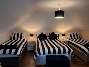 Zwei Betten in einem kleinen Zimmer mit zwei Lampen in der Unterkunft Conagh View in Gorey